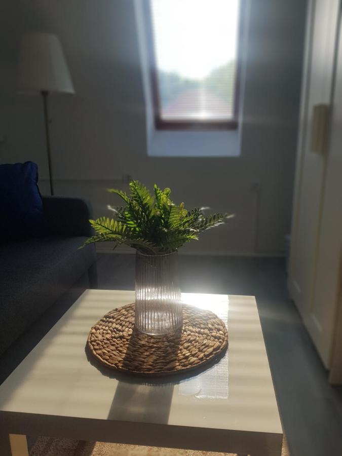 Ketpava Vendeghaz Hotel Igal Kültér fotó